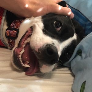 Meet your Posher, Gabriel